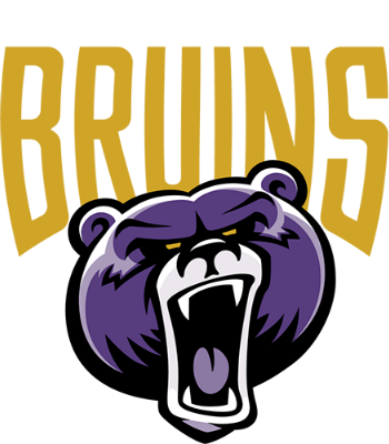 Bellevue University Themes 2.0 Home Page
